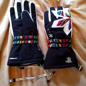 Ski Gloves